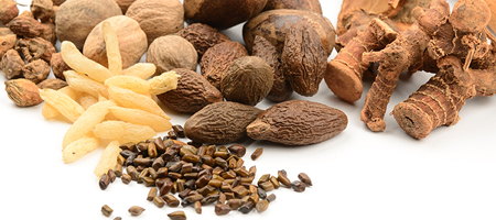 漢方処方の実績