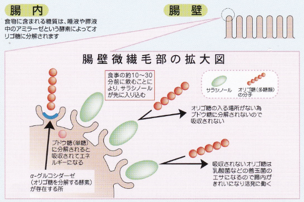スーパーサラシノールゴールド詳細